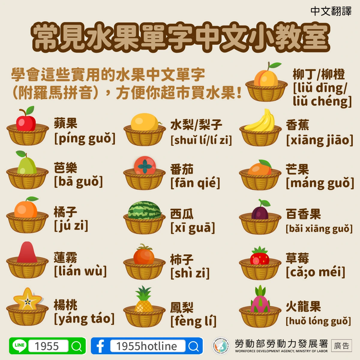 1141111 常見水果單字中文小教室