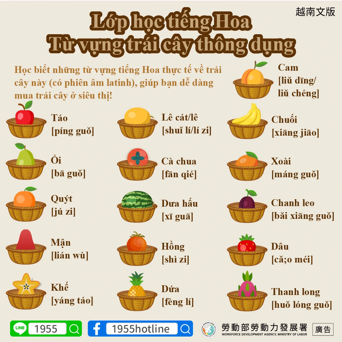 1141111 常見水果單字中文小教室