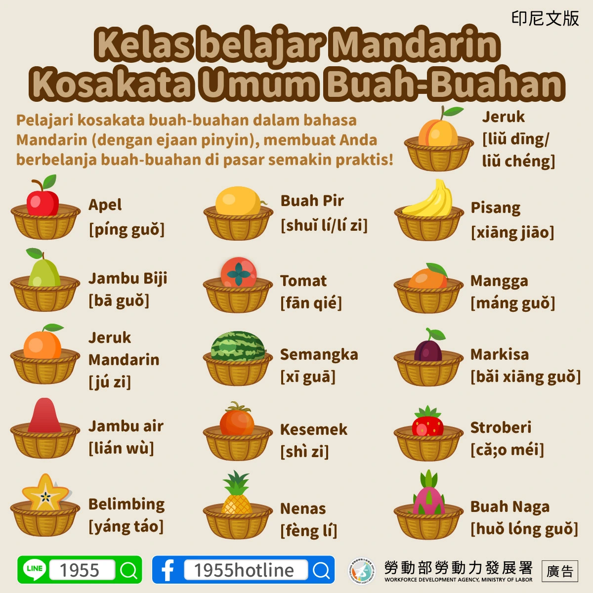 1141111 常見水果單字中文小教室
