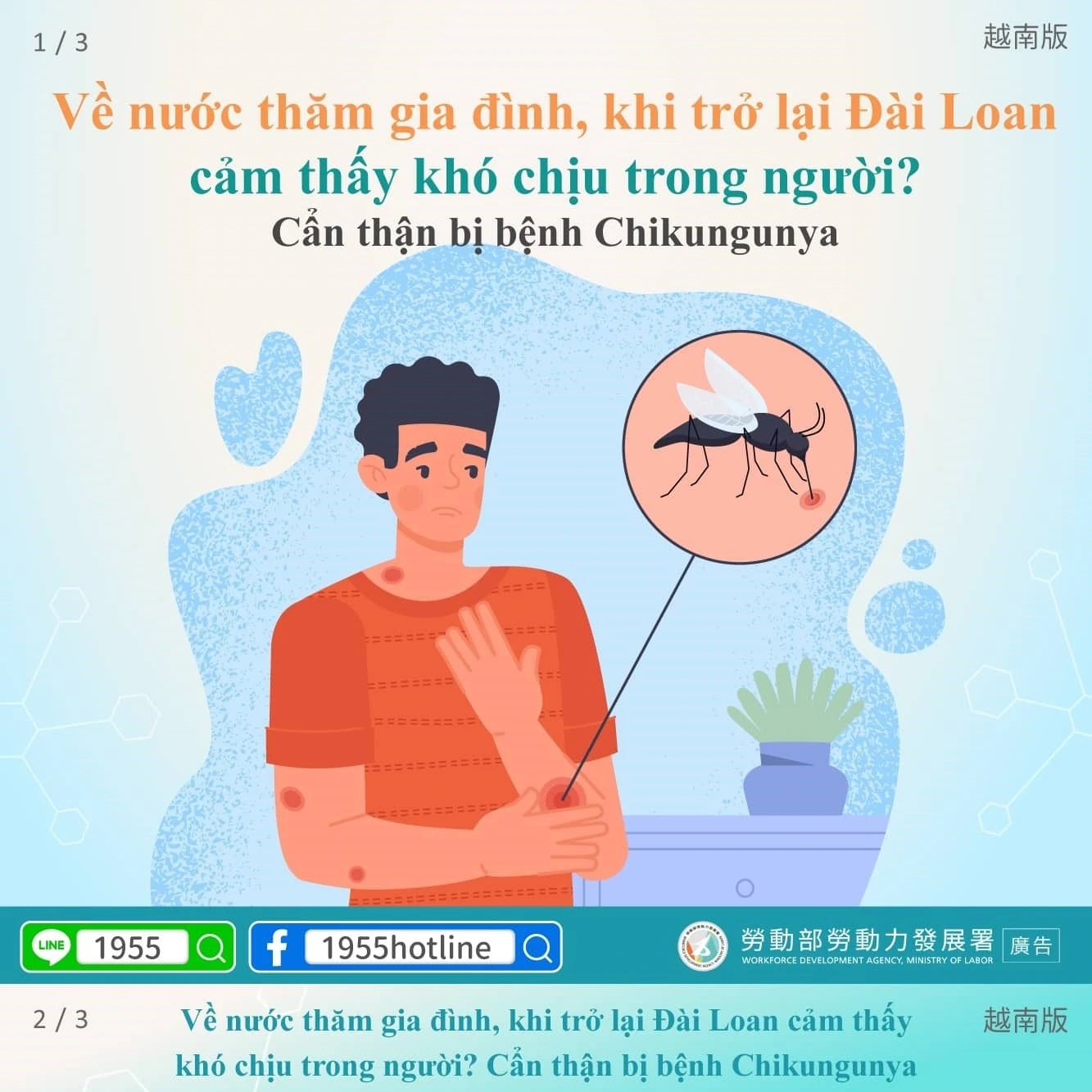 1141121 返鄉回臺身體不適？小心是屈公病發作！