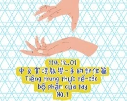 1141201Tiếng trung thực tế-các bộ phận của tayNO1手部1