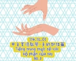 1141201Tiếng trung thực tế-các bộ phận của tayNO3手部3