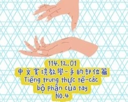 1141201Tiếng trung thực tế-các bộ phận của tayNO4手部4