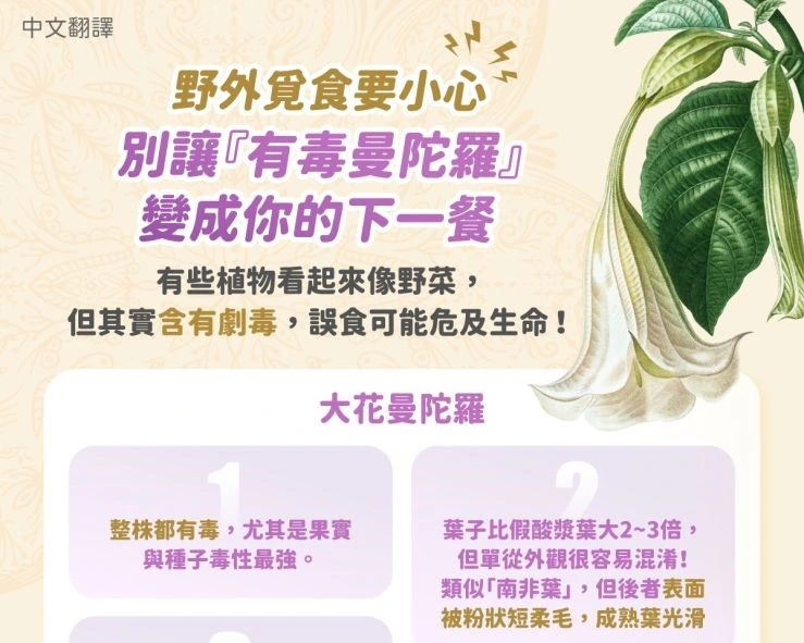 1150302 野外覓食要小心！別讓『有毒曼陀羅』變成你的下一餐