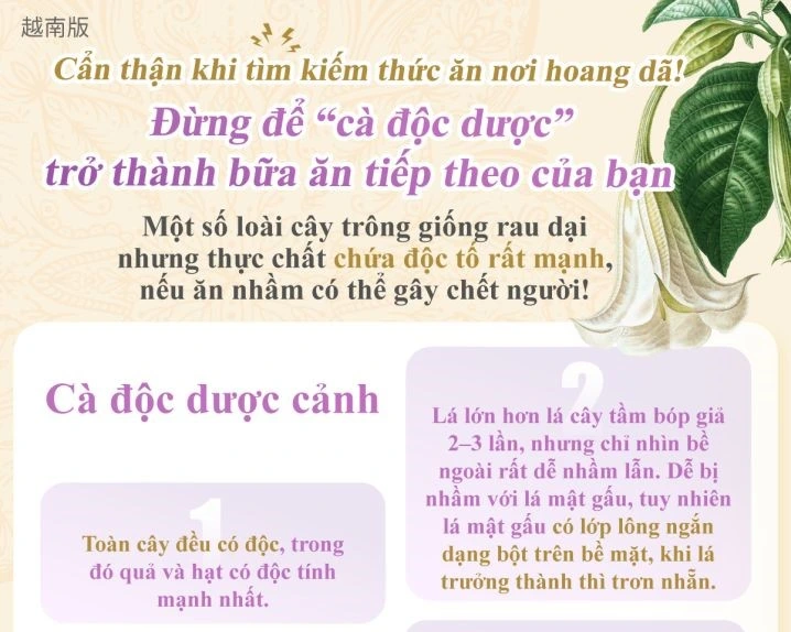 1150302 野外覓食要小心！別讓『有毒曼陀羅』變成你的下一餐