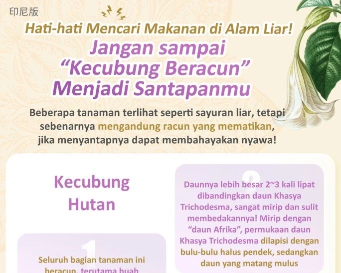 1150302 野外覓食要小心！別讓『有毒曼陀羅』變成你的下一餐