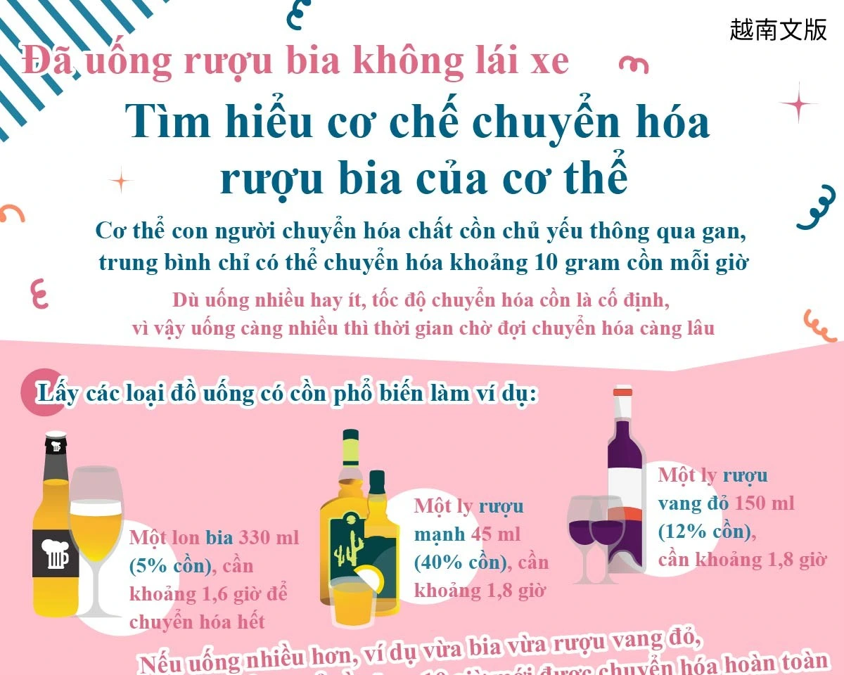 1150602 喝酒不開車-瞭解人體酒後代謝機制-