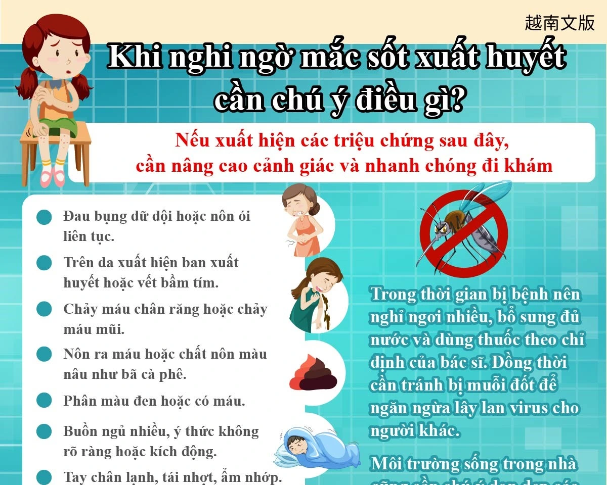 1150703 疑似登革熱要注意什麼？